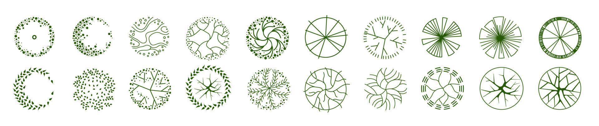 Tree for architectural floor plans. Entourage design. Various trees, bushes, and shrubs, top view for the landscape design plan. vector