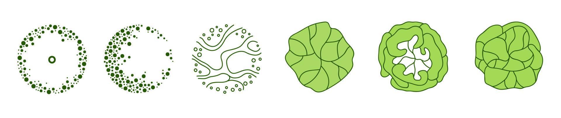 Tree for architectural floor plans. Entourage design. Various trees, bushes, and shrubs, top view for the landscape design plan. vector