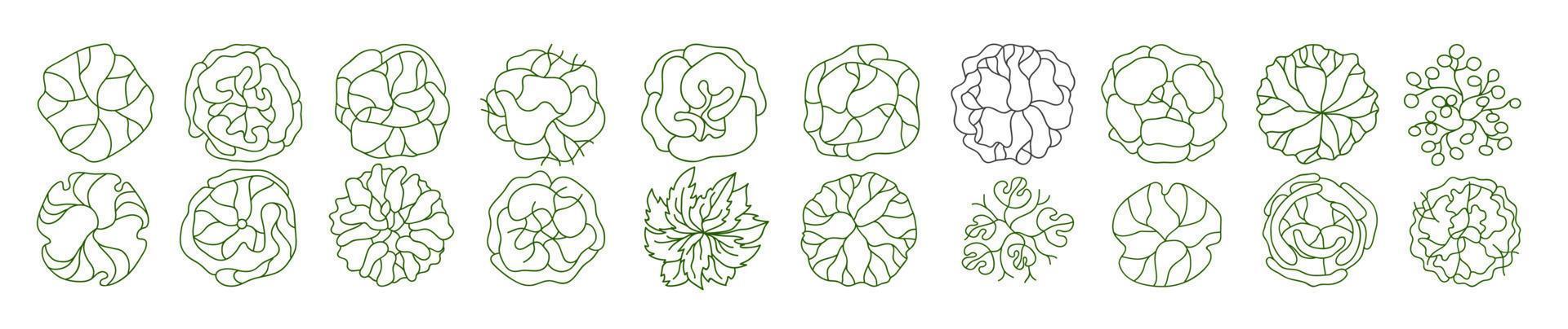 Tree for architectural floor plans. Entourage design. Various trees, bushes, and shrubs, top view for the landscape design plan. vector