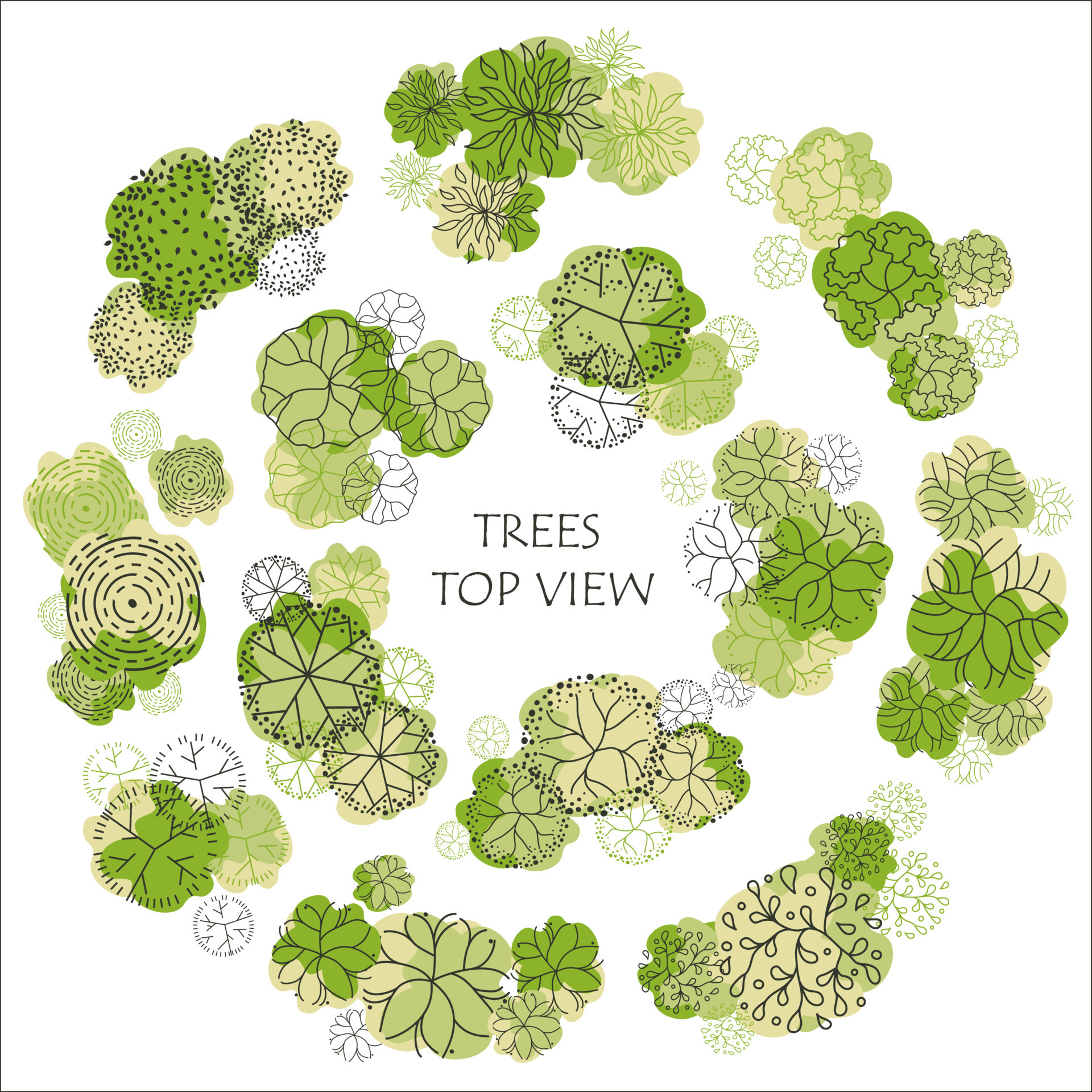 Landscape Design Trees