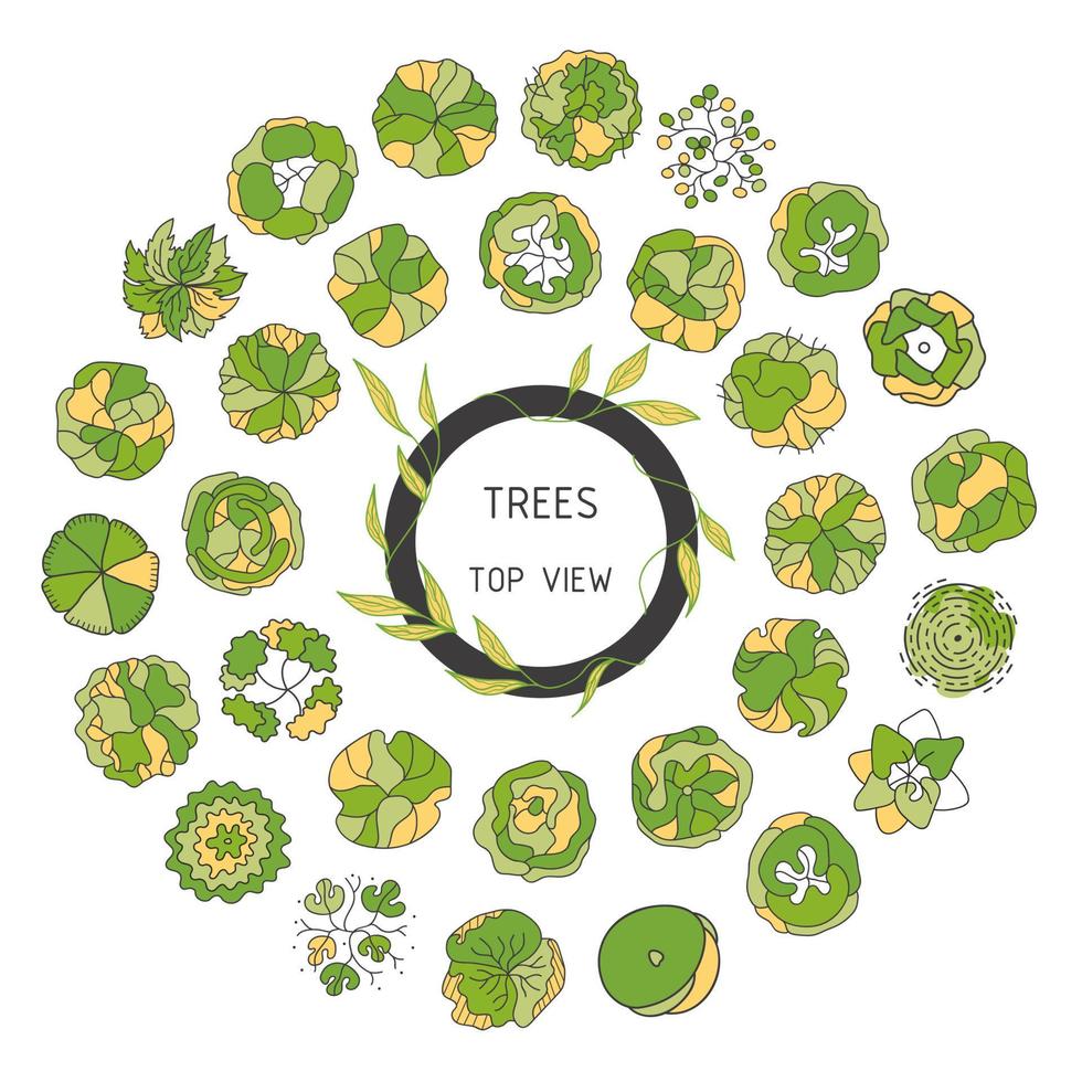 Tree for architectural floor plans. Entourage design. Various trees, bushes, and shrubs, top view for the landscape design plan. vector