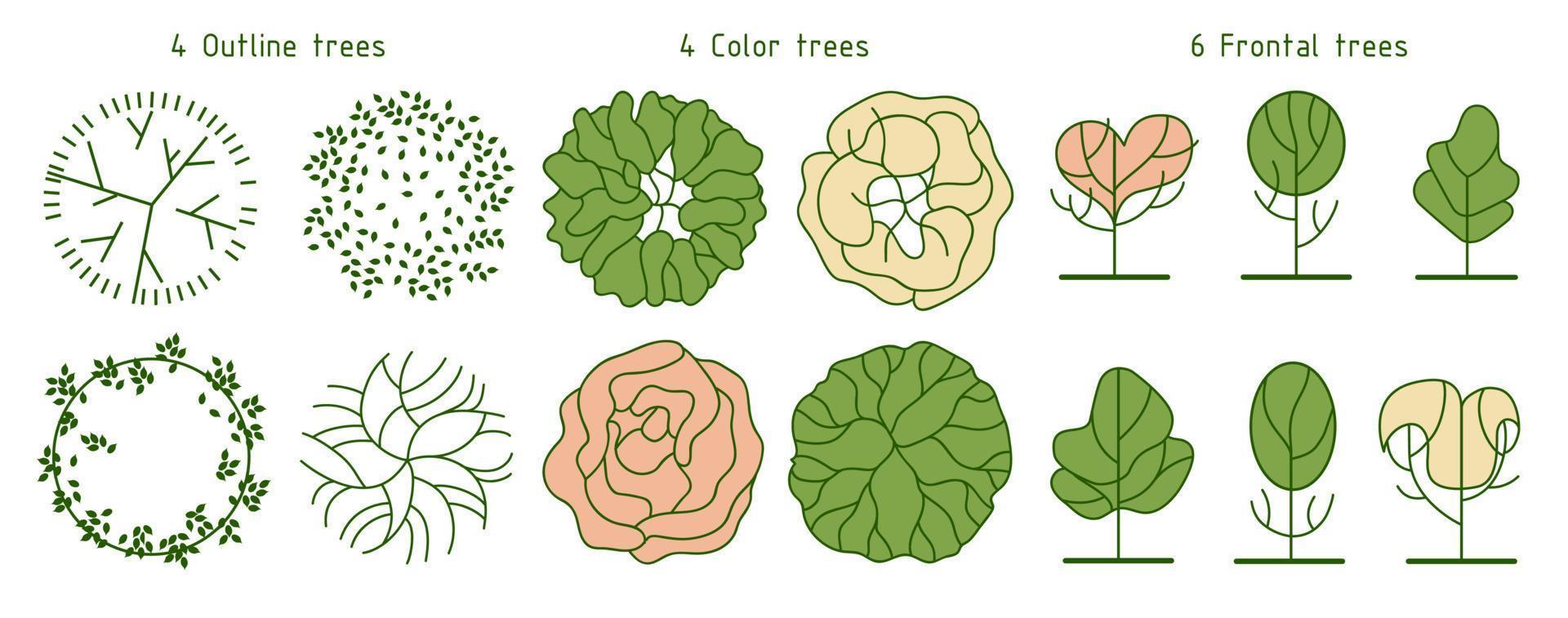 Tree for architectural floor plans. Entourage design. Various trees, bushes, and shrubs, top view for the landscape design plan. vector