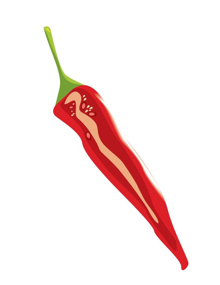 chili pepper half vegetable vector
