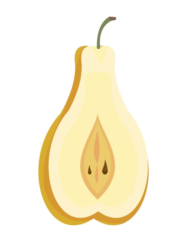 fresh pear half fruit vector
