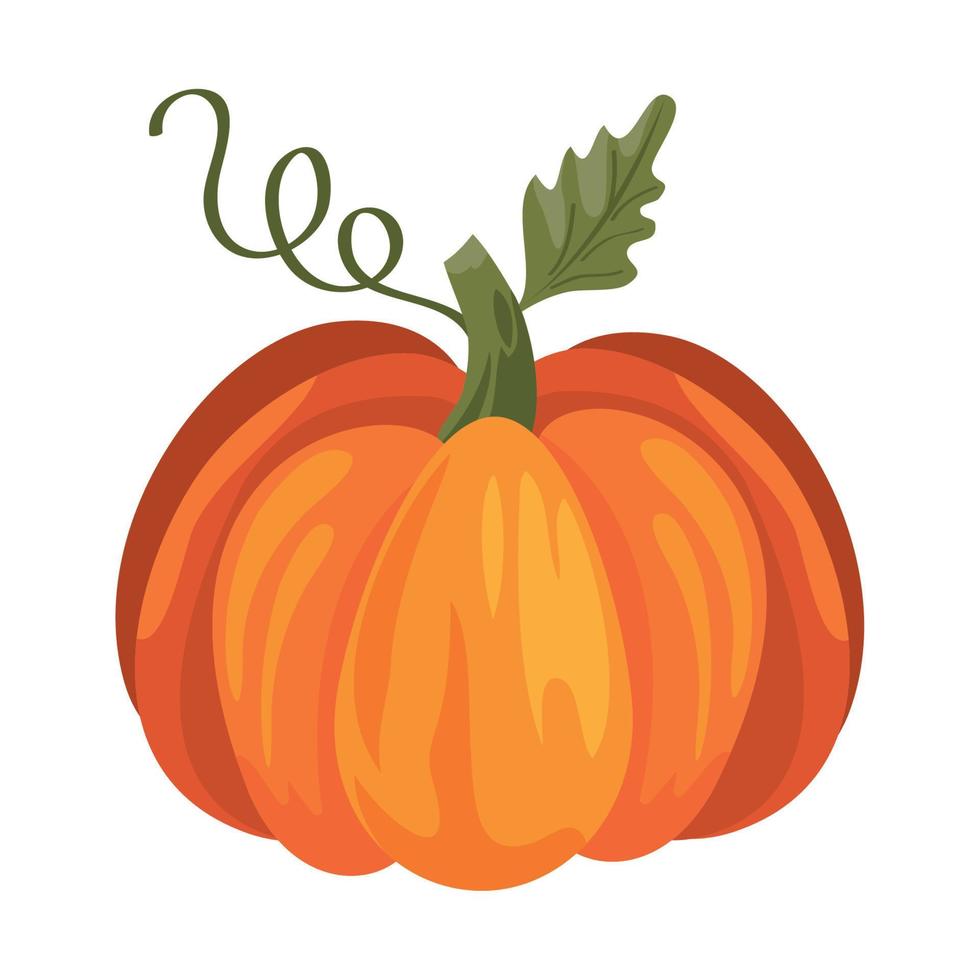 calabaza de la temporada de otoño vector