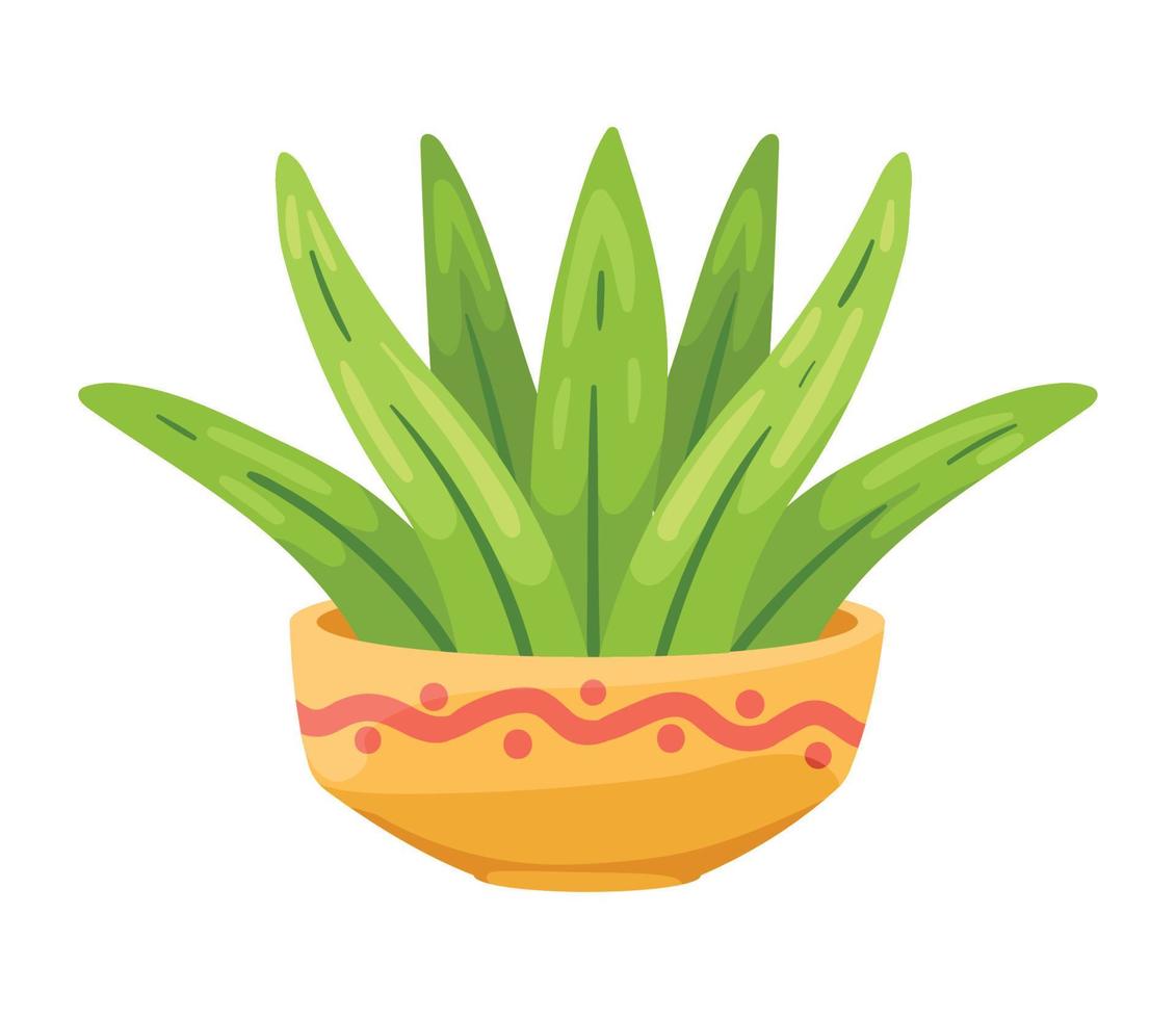 houseplant in ceramic pot vector