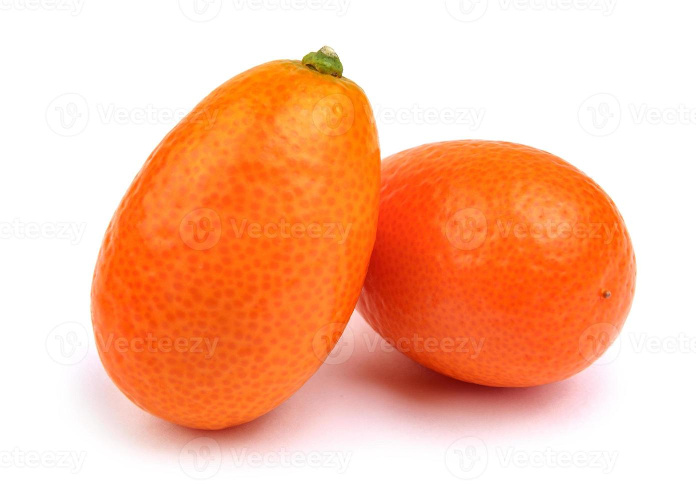Two ripe juicy kumquat are isolated on a white background. photo