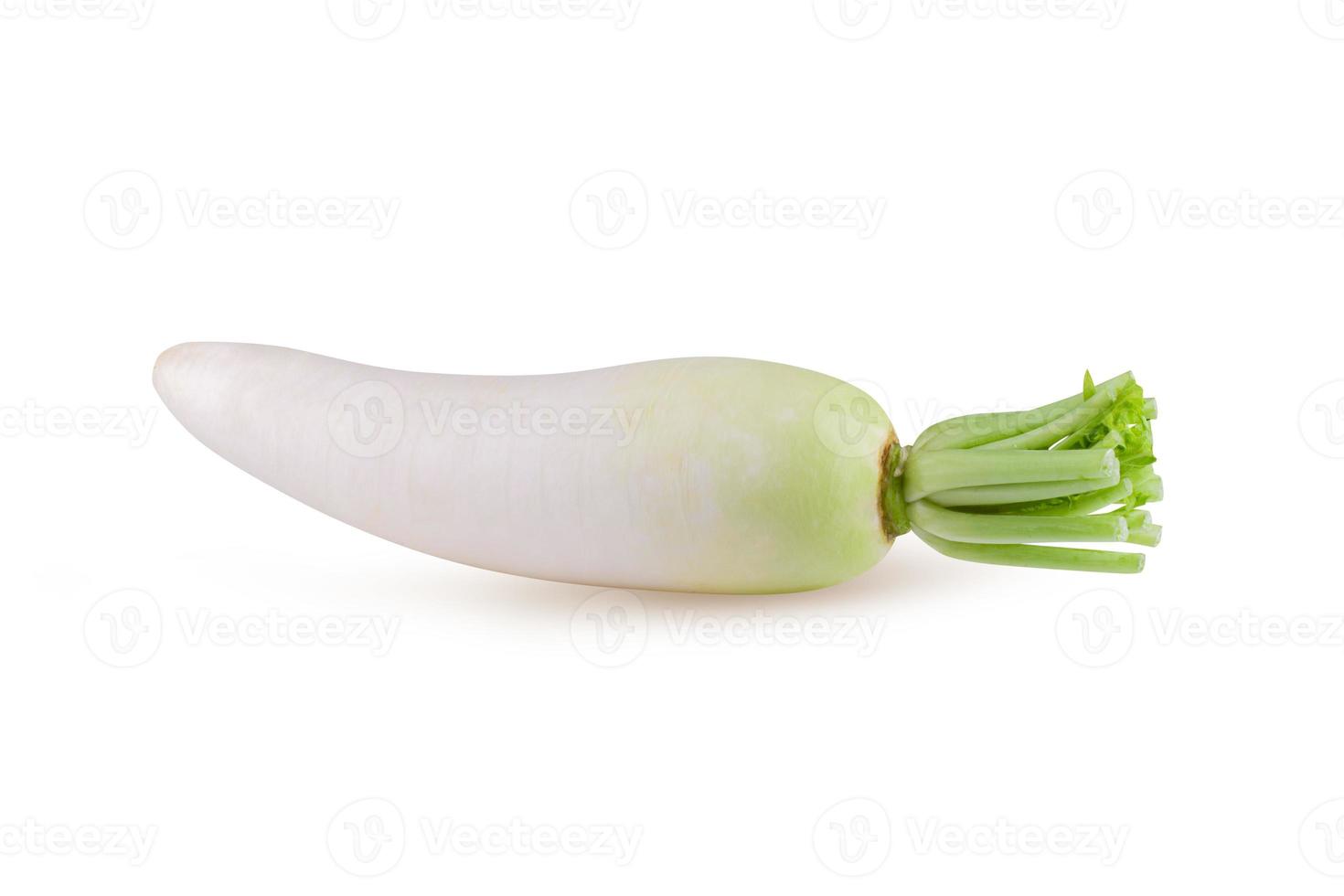 Daikon radishes isolated on a white background photo