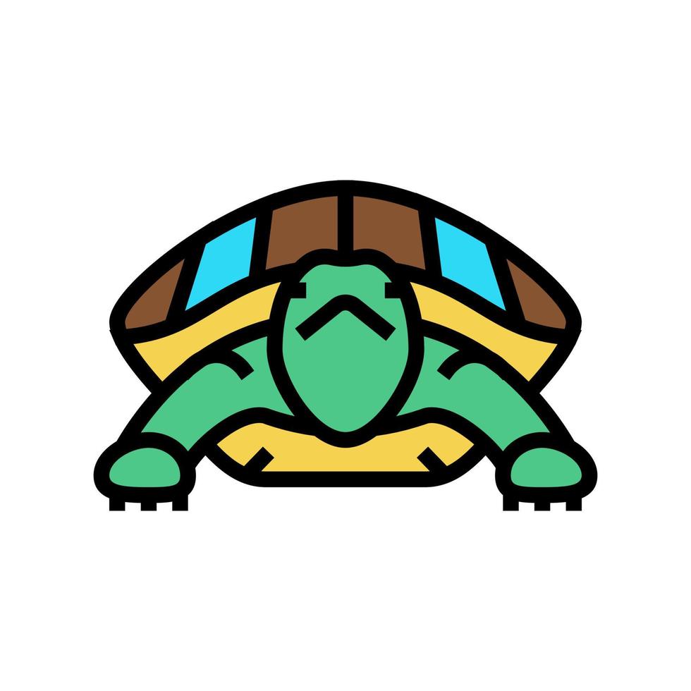 turtle tropical color icon vector illustration