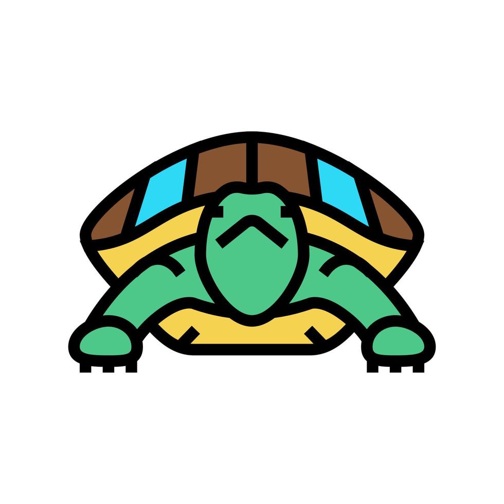 turtle tropical color icon vector illustration