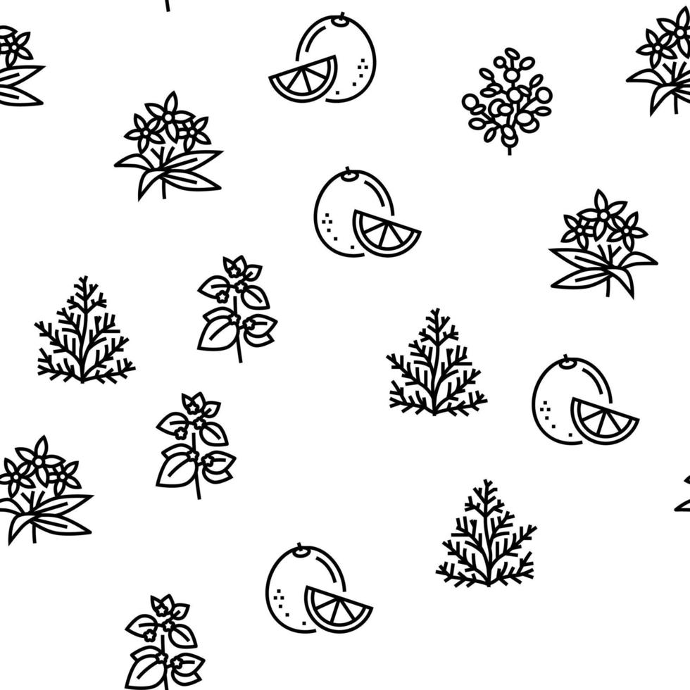 Aromatherapy Herbs Vector Seamless Pattern