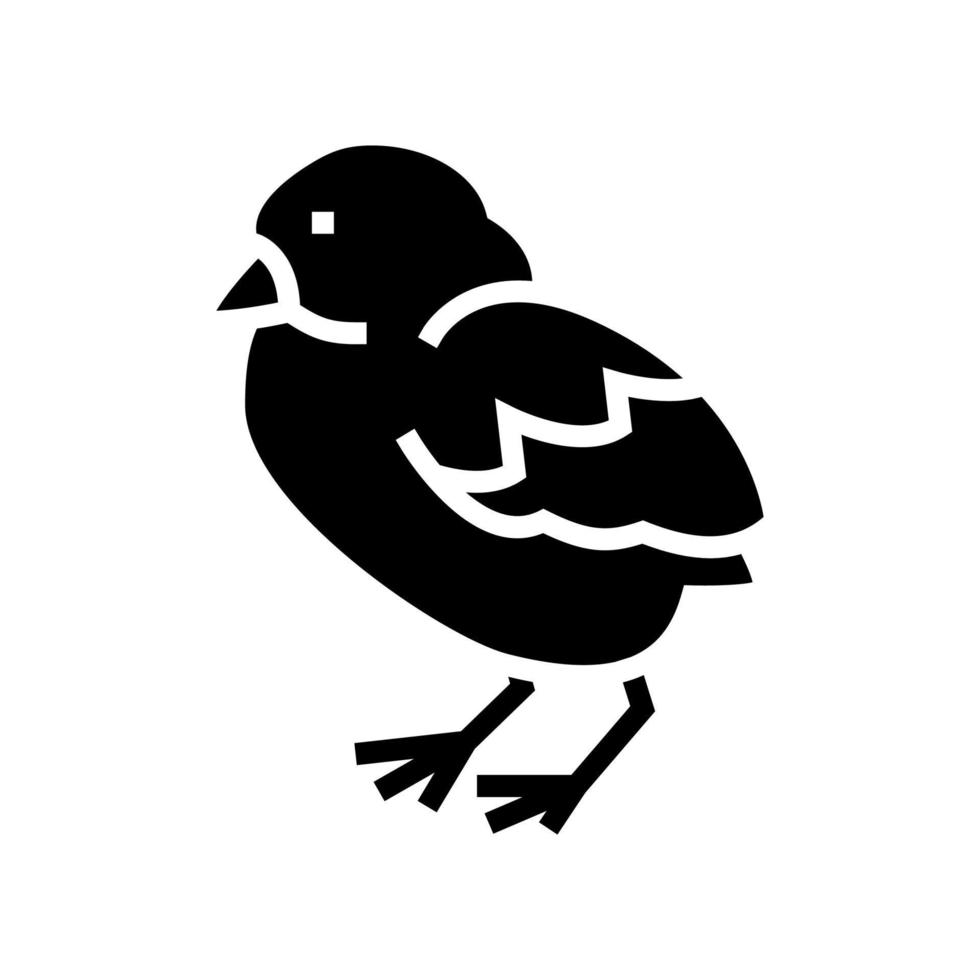 pollo pájaro glifo icono vector ilustración