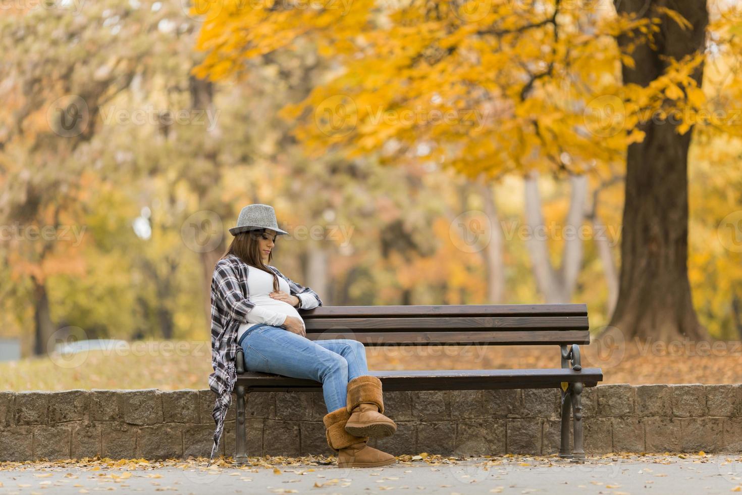 Young pregnant woman in the autumn park photo