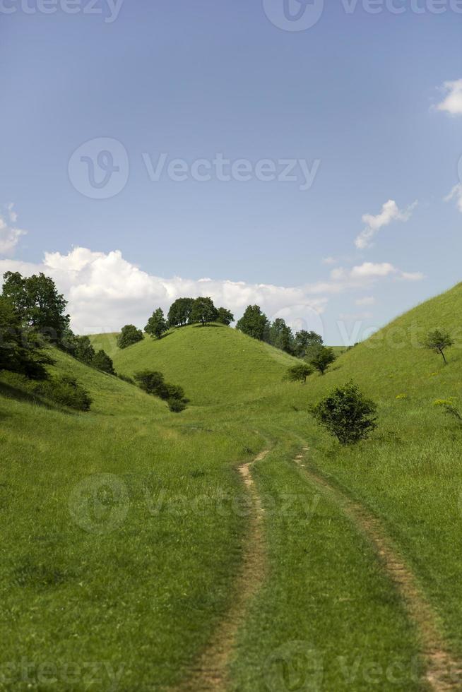 Zagajica hills in Serbia photo