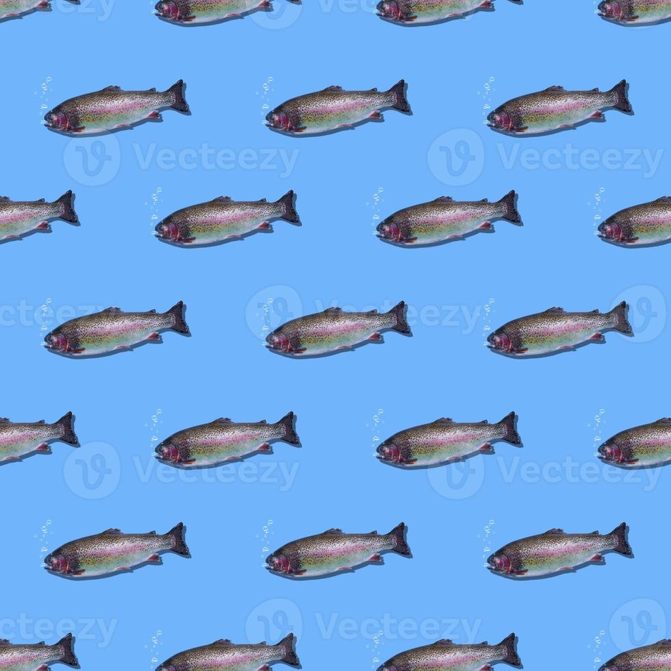 Seamless pattern of floating rainbow trout closeup isolated on blue background. The fish breathes and bubbles rise. photo