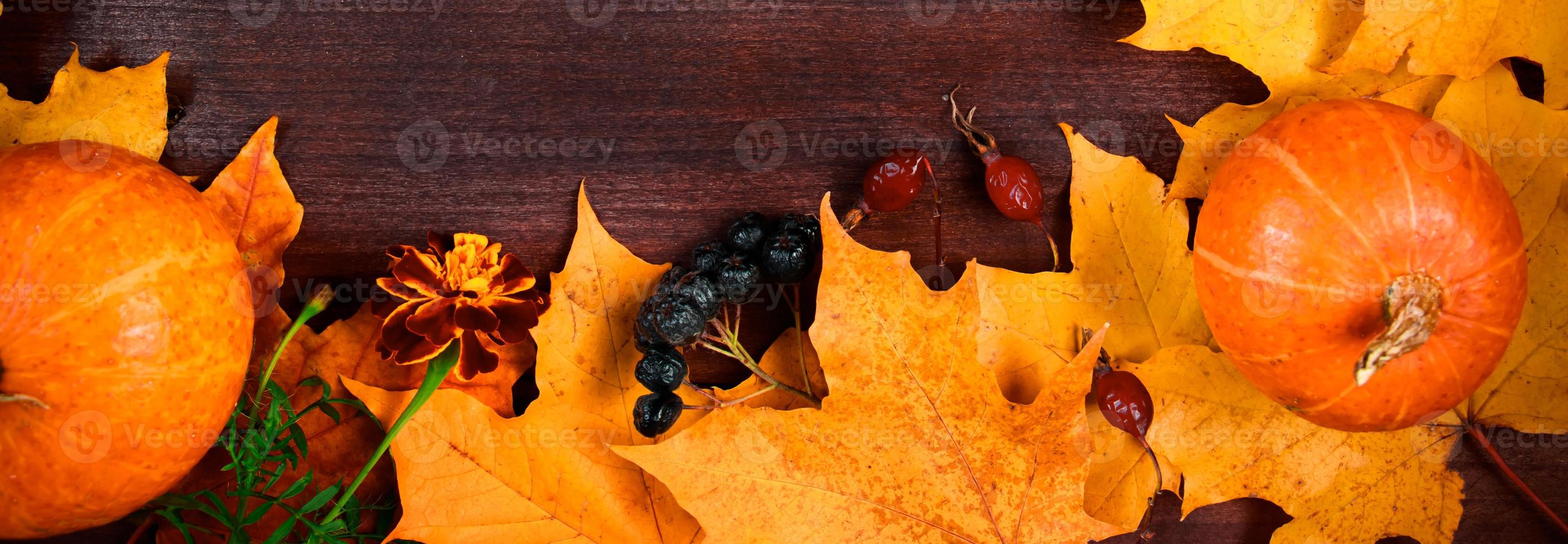 Autumn background. Frame from ripe pumpkins and fallen leaves on wooden boards. Harvest and Thanksgiving concept. photo