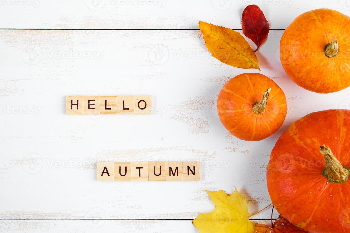 Hola otoño. calabazas maduras y hojas amarillas caídas sobre fondo blanco. símbolo de halloween y acción de gracias. foto