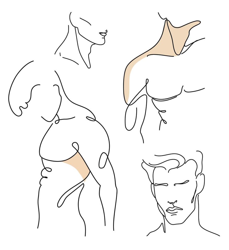 Vector set of male body parts in line-art style.