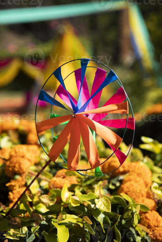 Colorful Paper Pinwheel. Paper windmill spinner placed on green bushes with flowers. Wedding decoration scenes photo