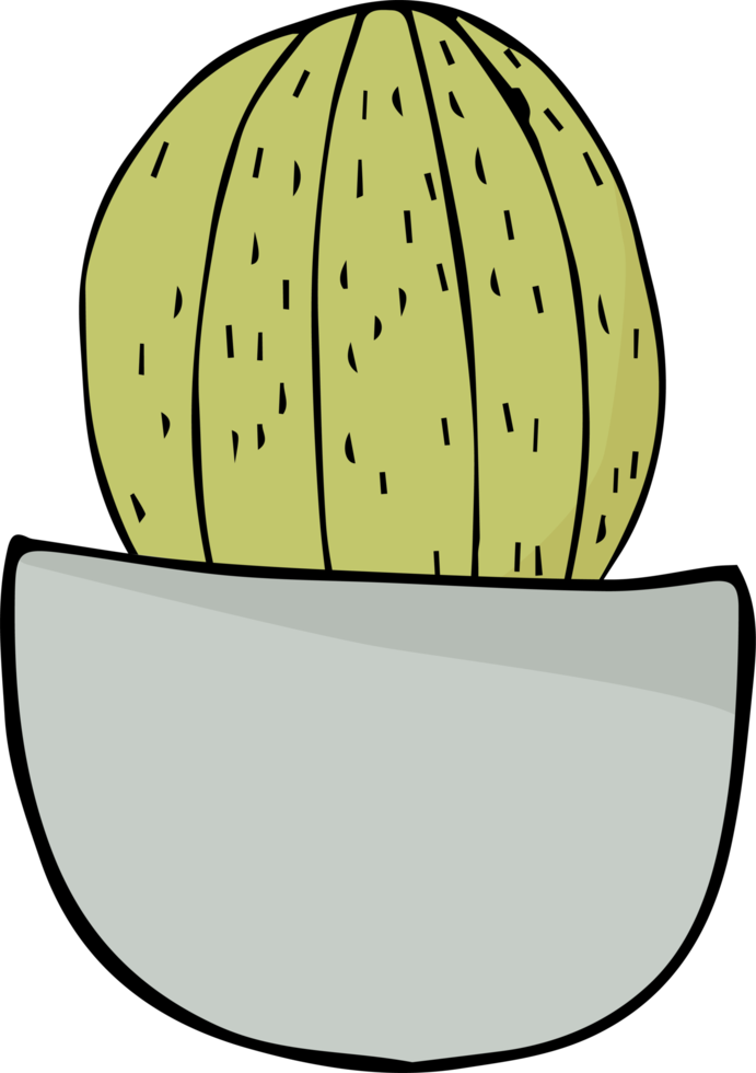 disegnato a mano del fumetto del cactus png