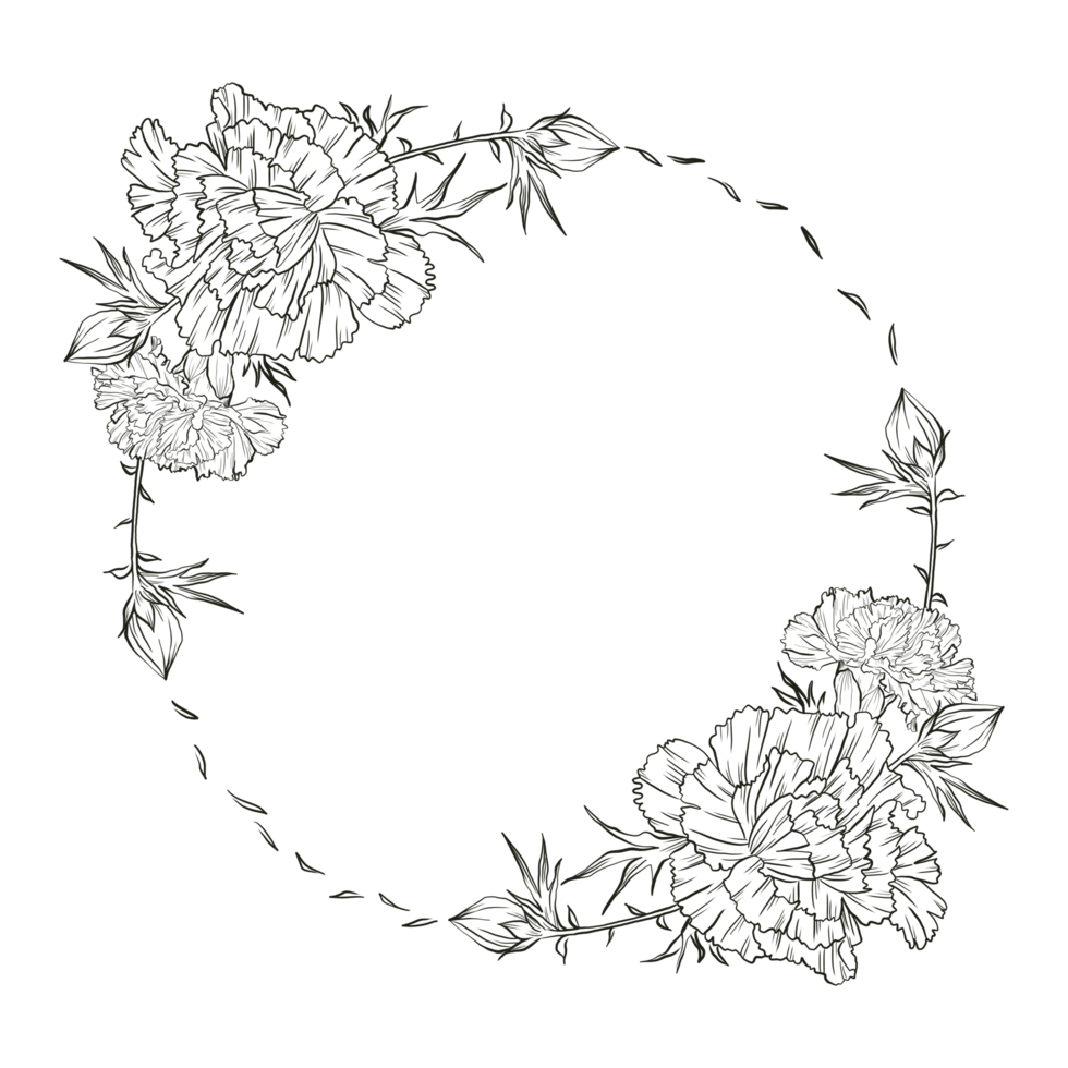 Carnation flower line art png