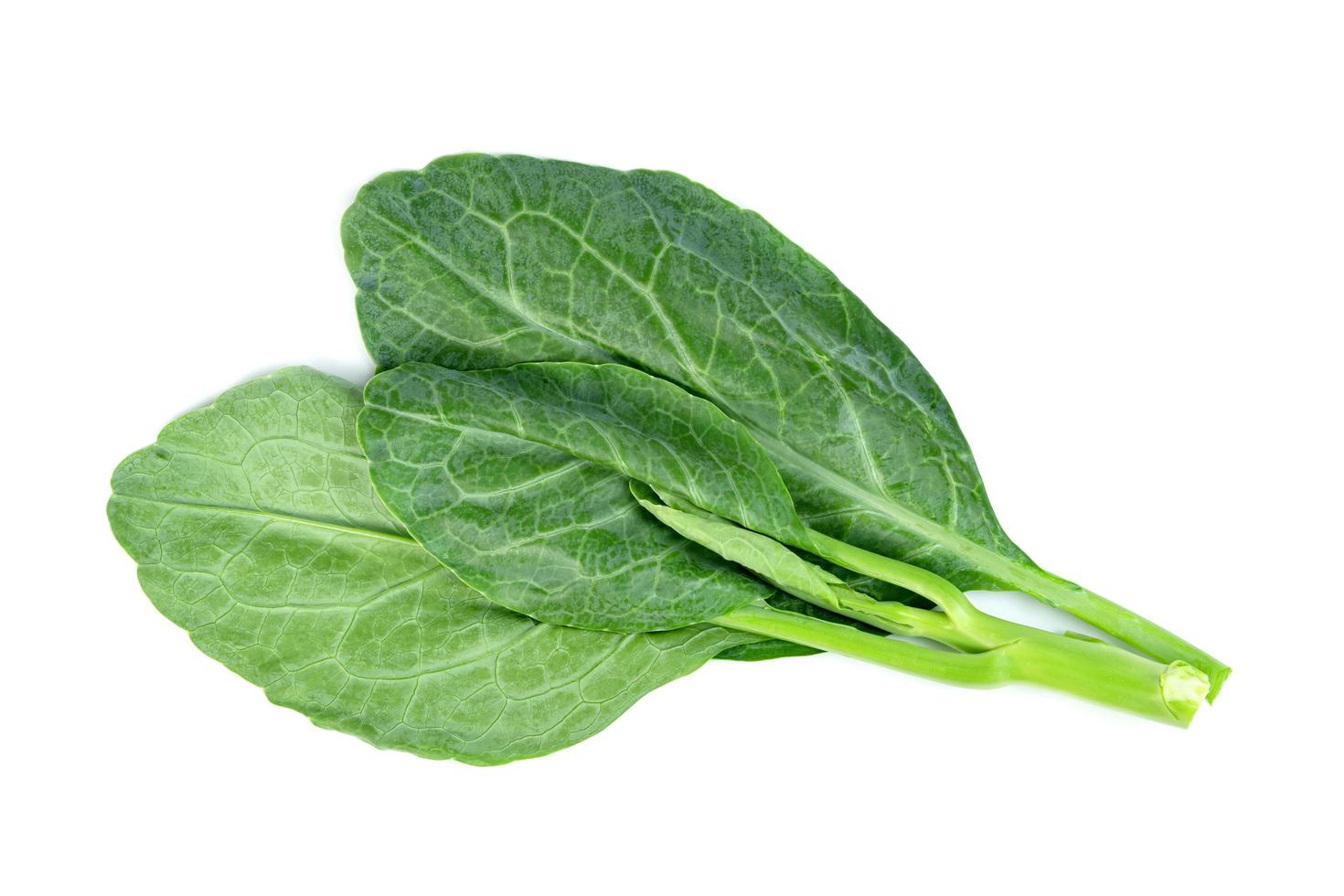 Chinese kale isolated on white background ,Green leaves of collards pattern photo