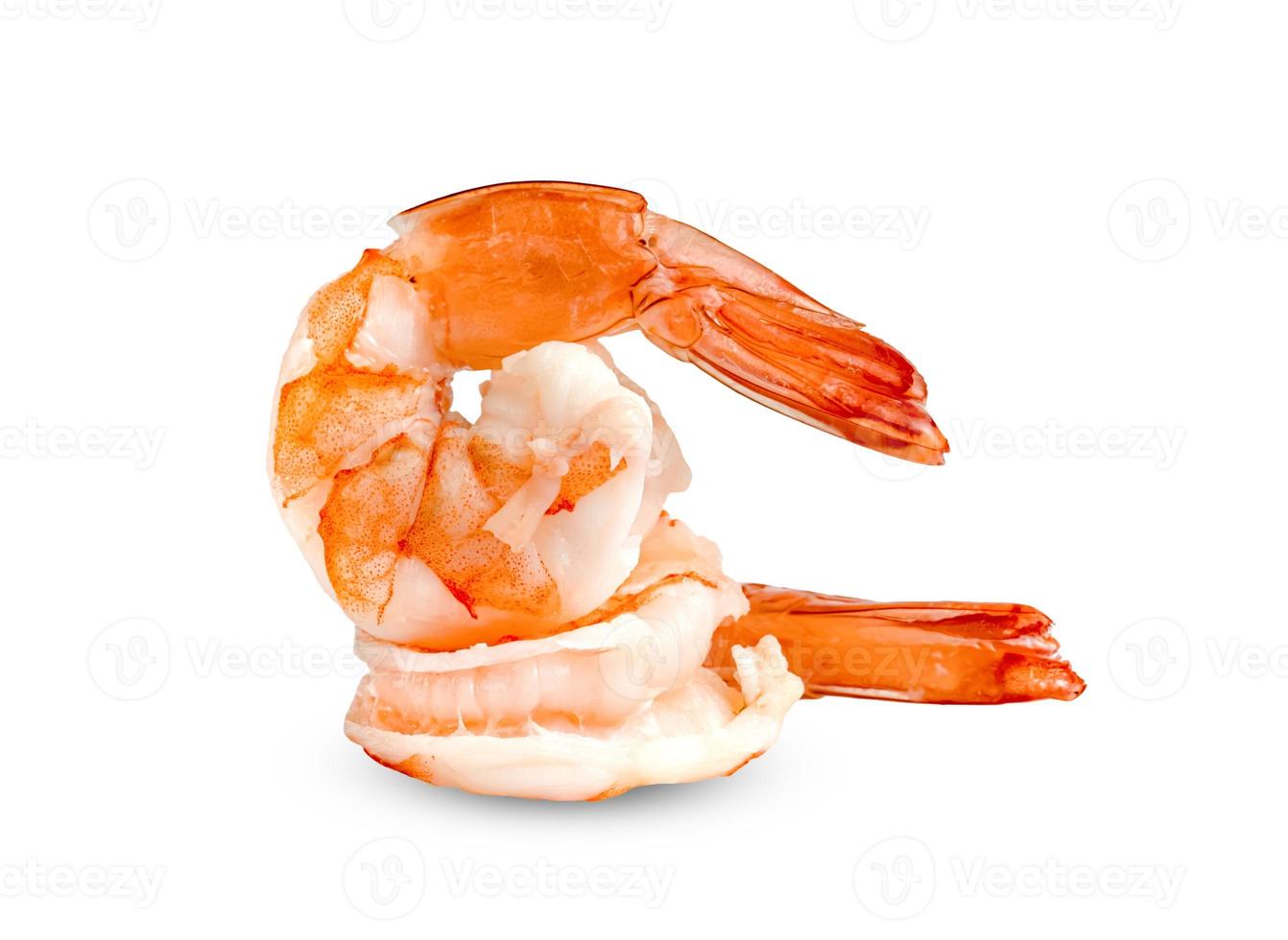 shrimp isolated on white background photo