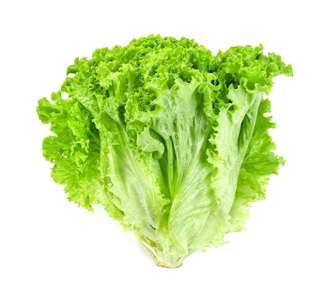 Lettuce leaf isolated on white background ,Green leaves pattern ,Salad ingredient photo