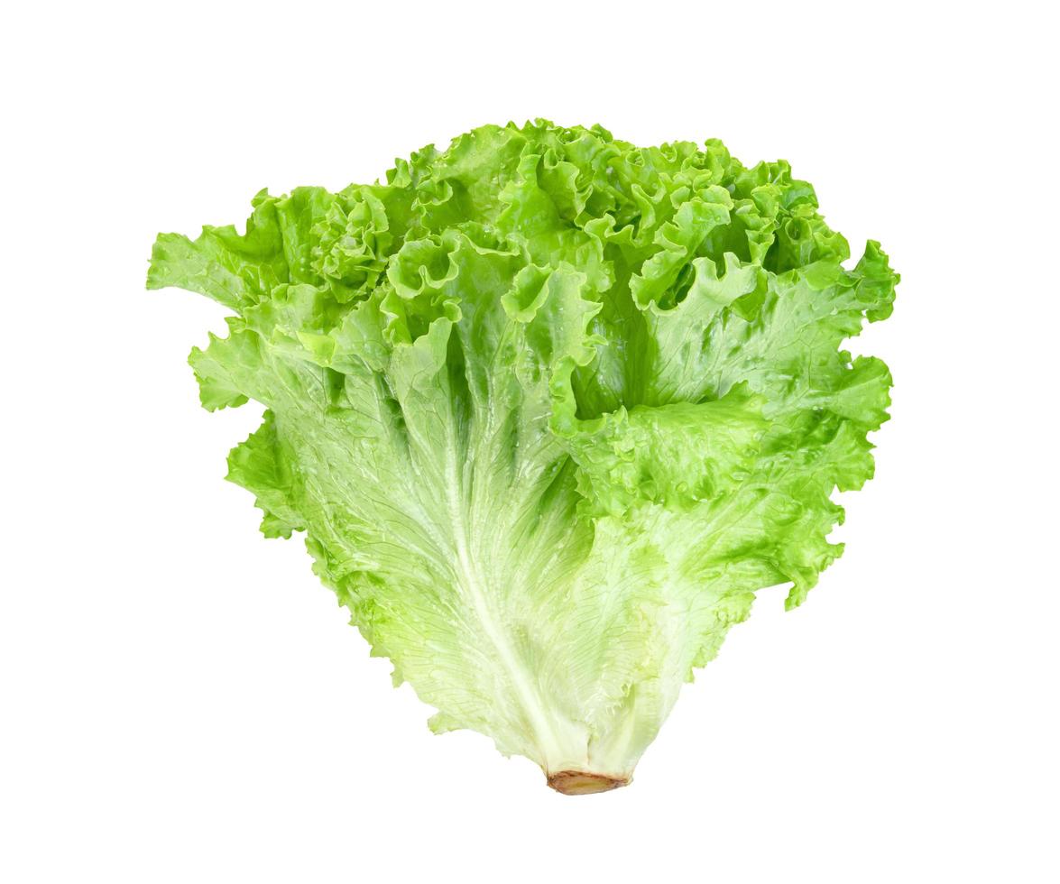 Lettuce leaf isolated on white background ,Green leaves pattern ,Salad ingredient photo