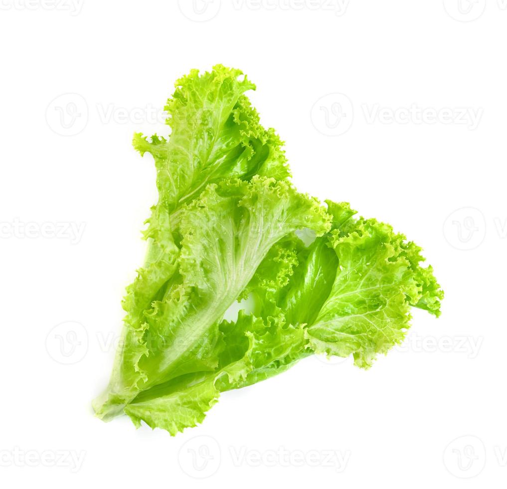 Lettuce leaf isolated on white background ,Green leaves pattern ,Salad ingredient photo