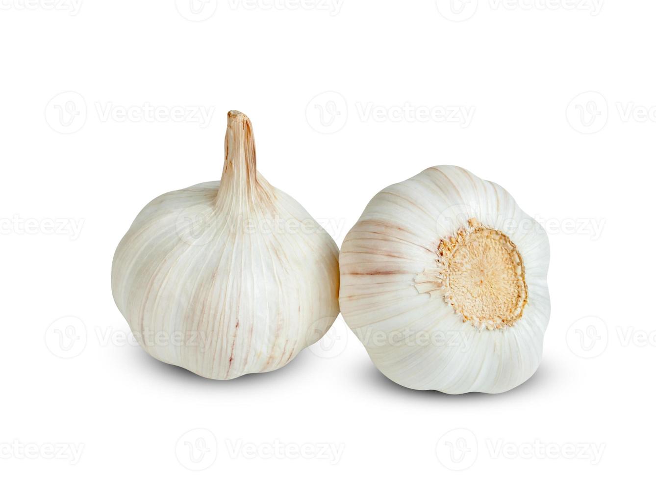 garlic isolated on white background ,include clipping path photo