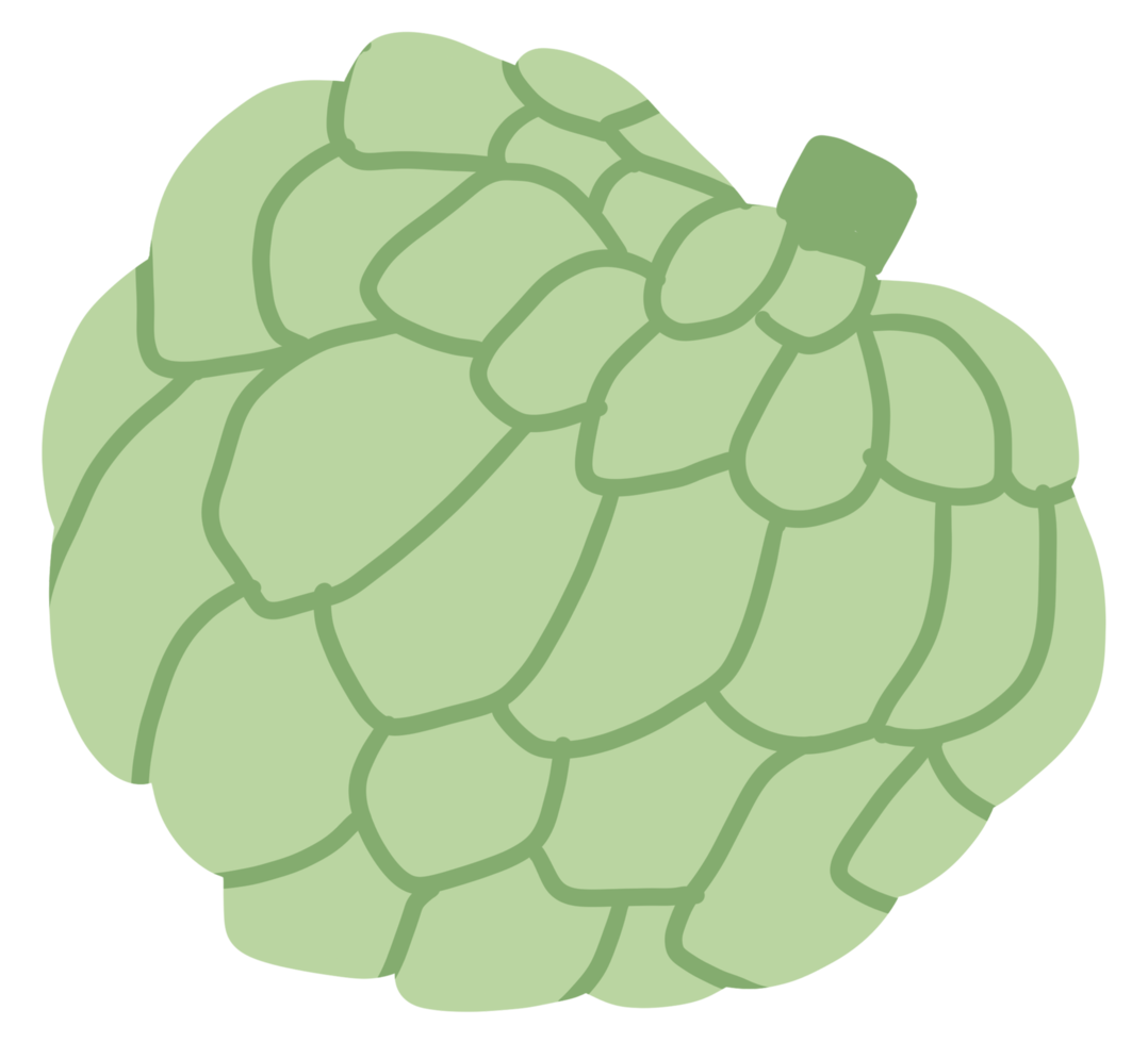 cartoon groenten en fruit png