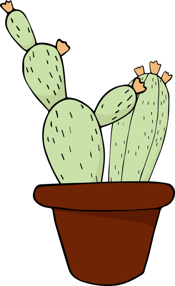 dibujado a mano de dibujos animados de cactus png