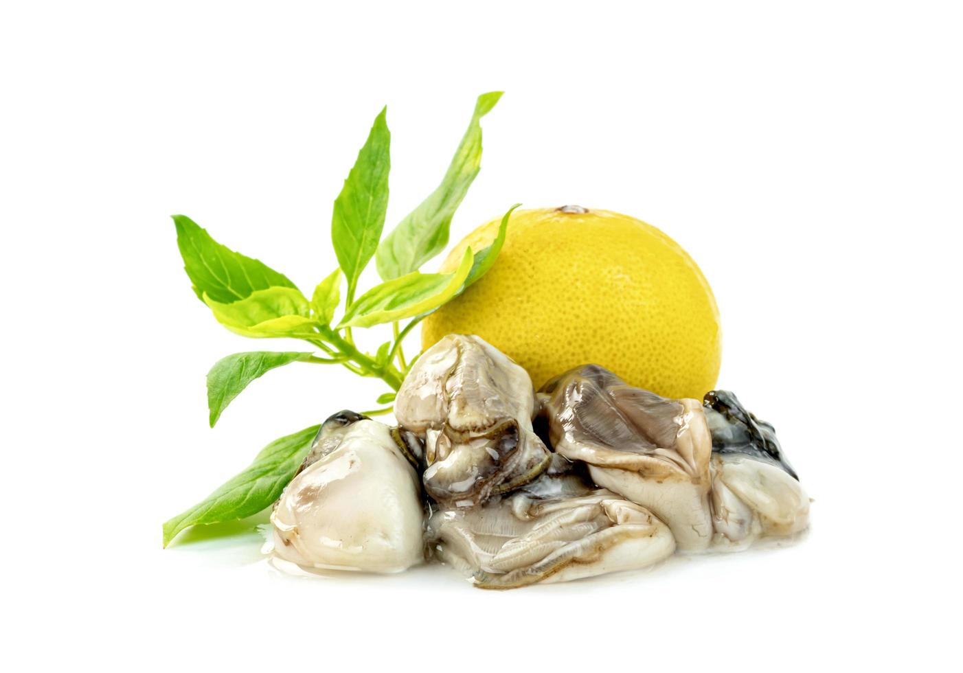 Oysters with lemon and  leaf basil isolated on a white background photo