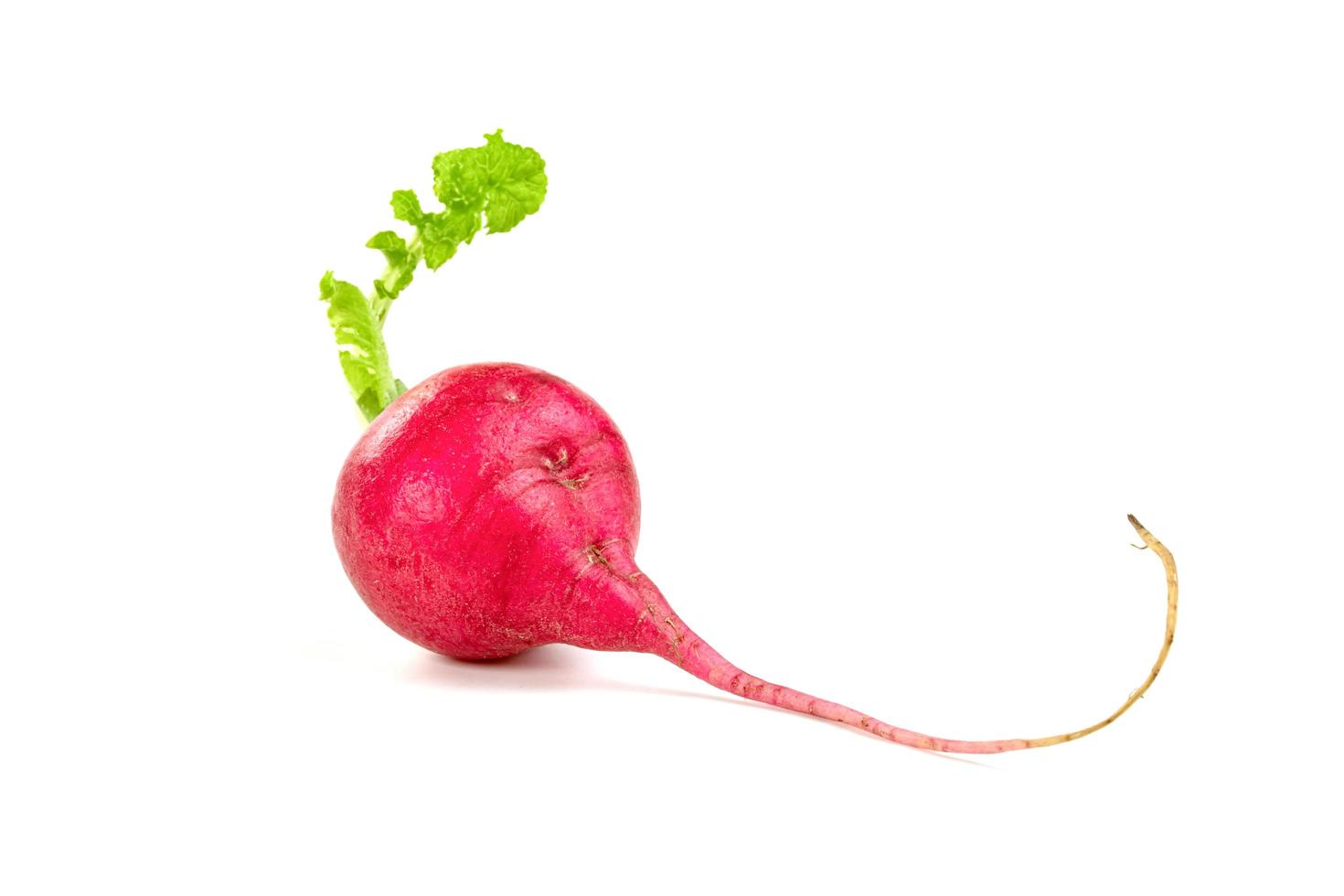 small red radish isolated on white background photo