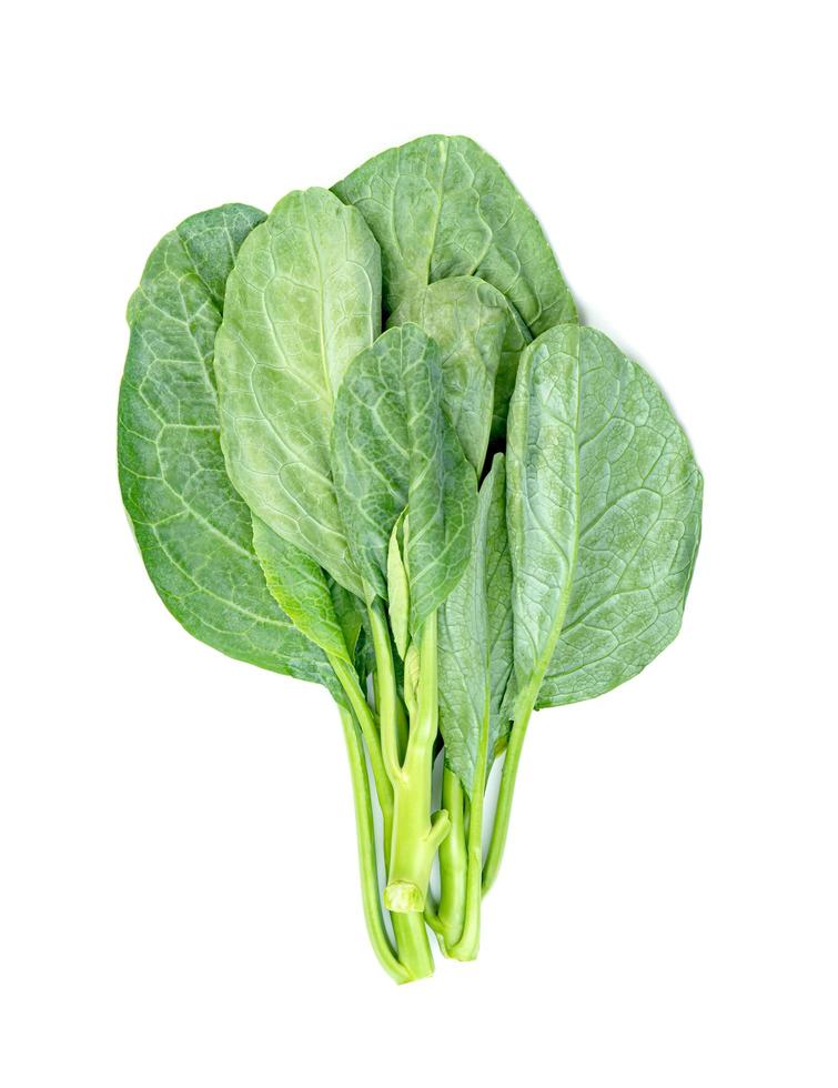 Chinese kale isolated on white background ,Green leaves of collards pattern photo