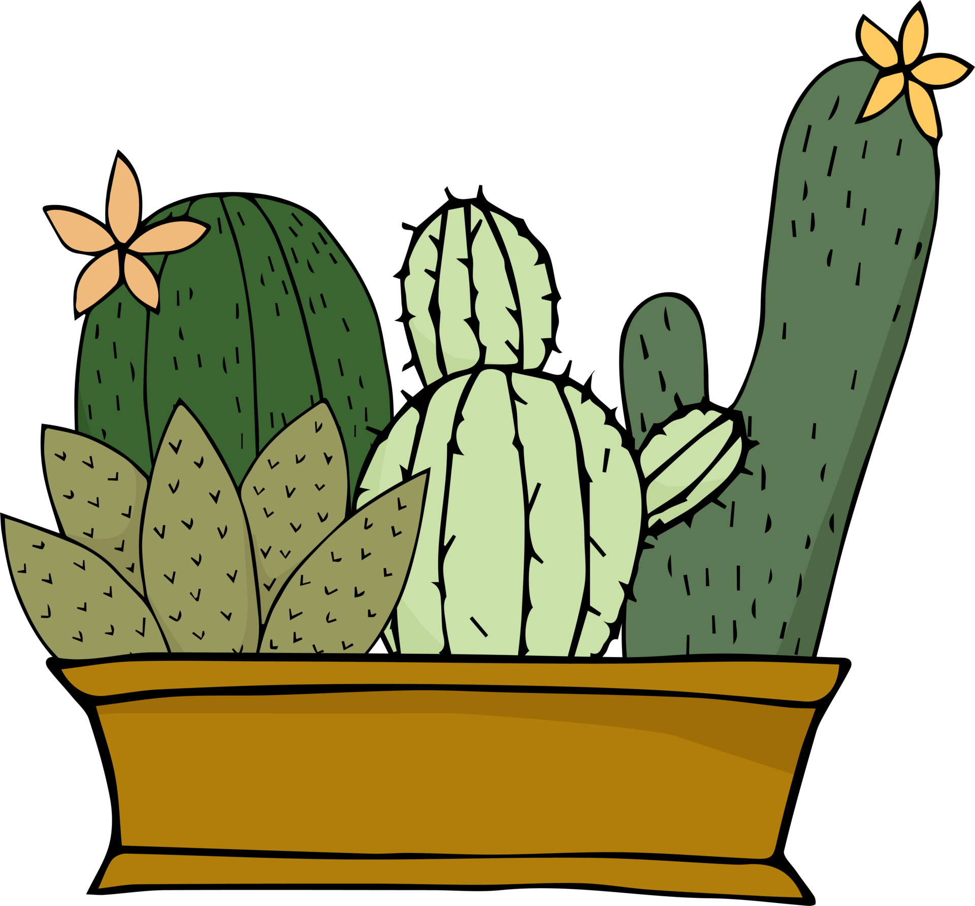 Hand Drawn Cactus PNG Transparent, Hand Drawn Cartoon Succulent And Cactus  Elements, Cactus, Hand Painted, Cartoon PNG Image For Free Download