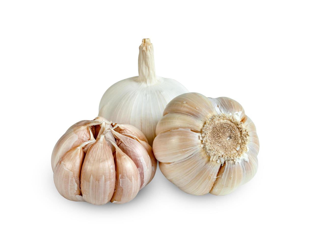 garlic isolated on white background  ,include clipping path photo