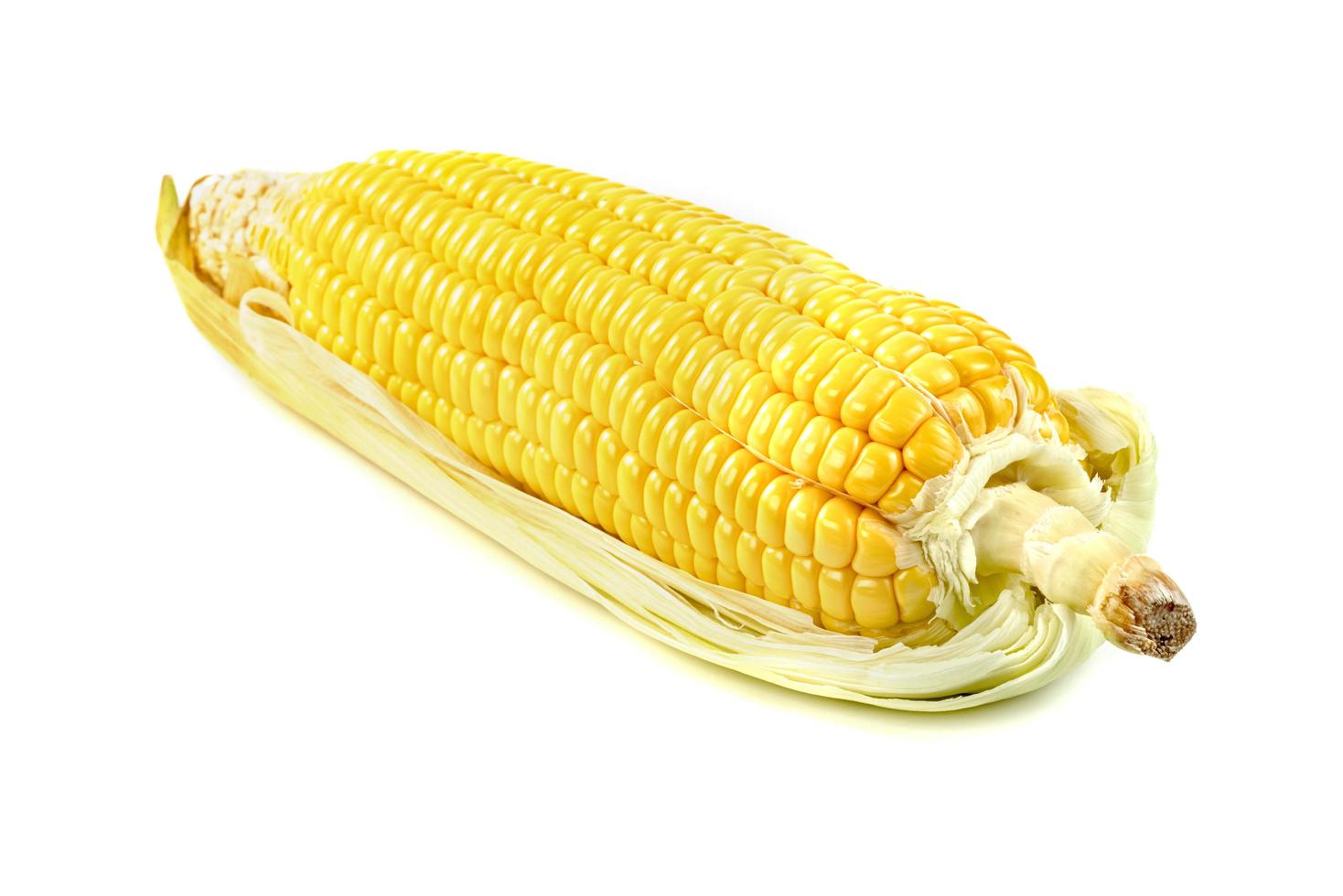 corn isolated on white background photo