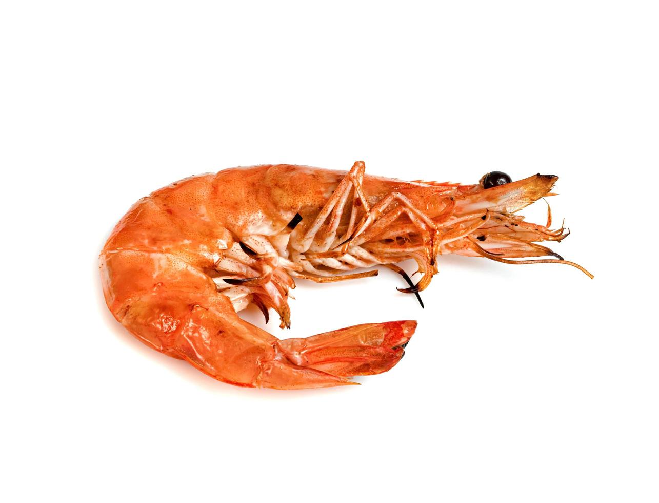roasted prawn isolated on white background ,grilled shrimp photo