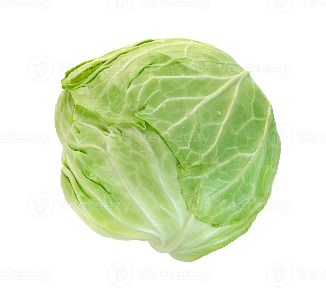 cabbage isolated on white background ,Green leaves pattern photo