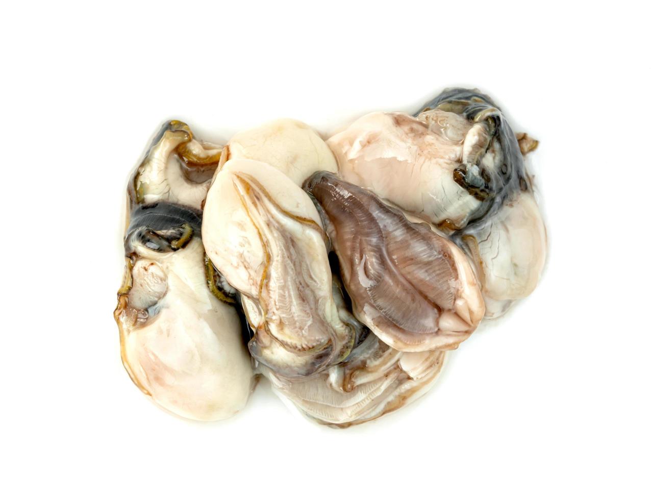 Oysters isolated on a white background photo