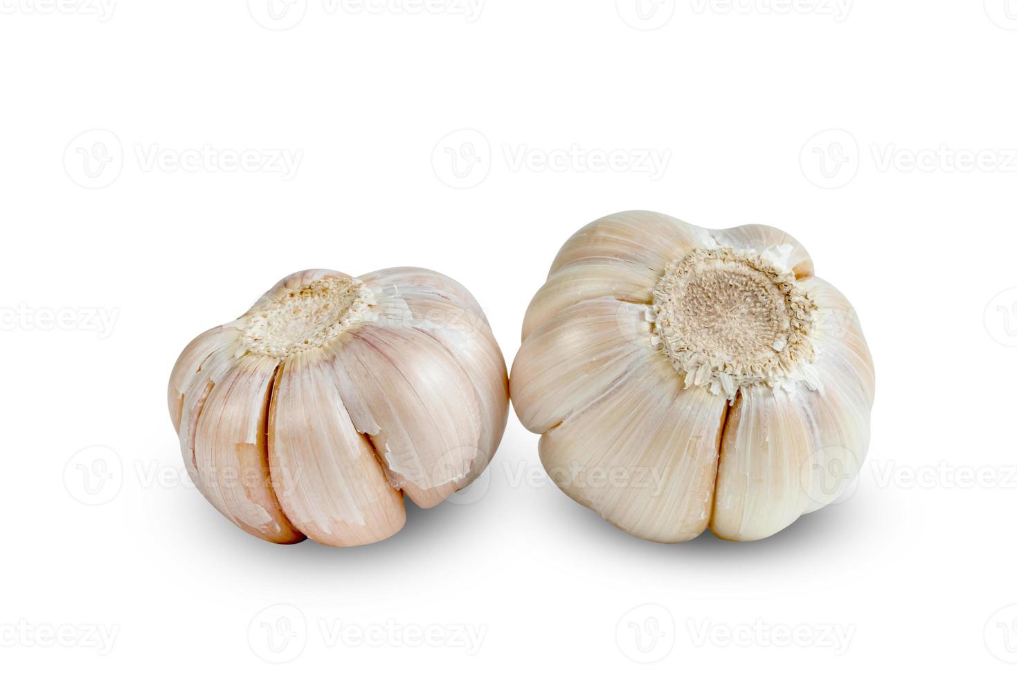garlic isolated on white background ,include clipping path photo