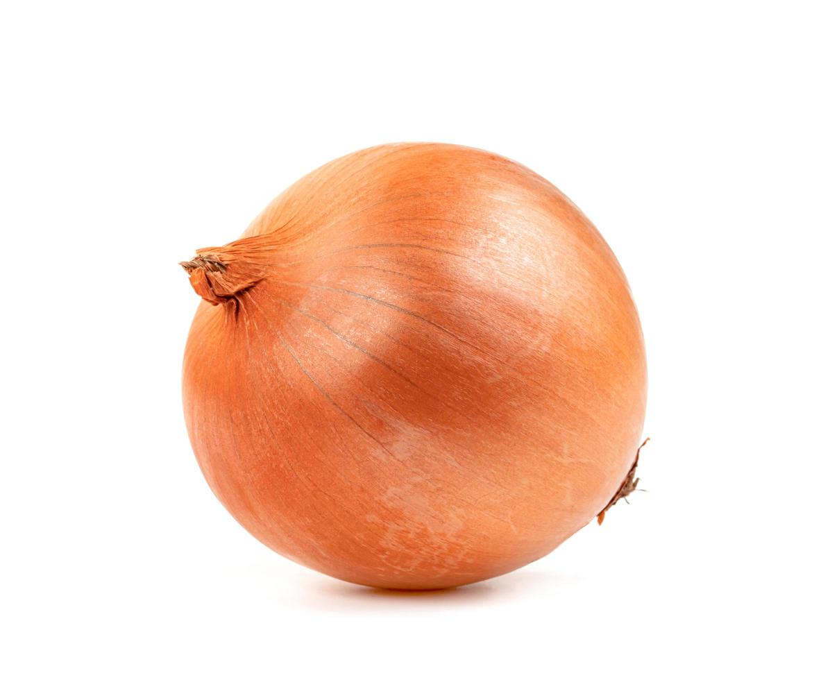 Fresh Onion isolated on white background photo