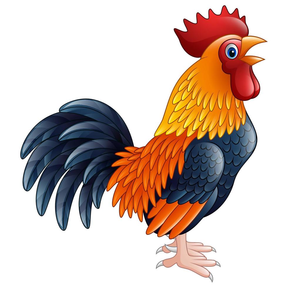 canto de gallo de dibujos animados vector