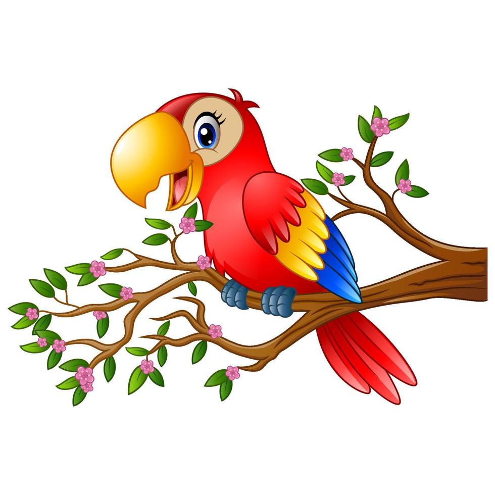 Cartoon macaw on tree branch vector