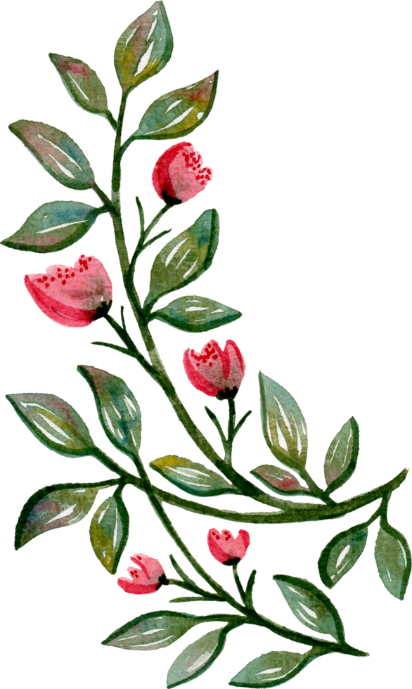 handmålade akvarell blomma element för illustration set samling png