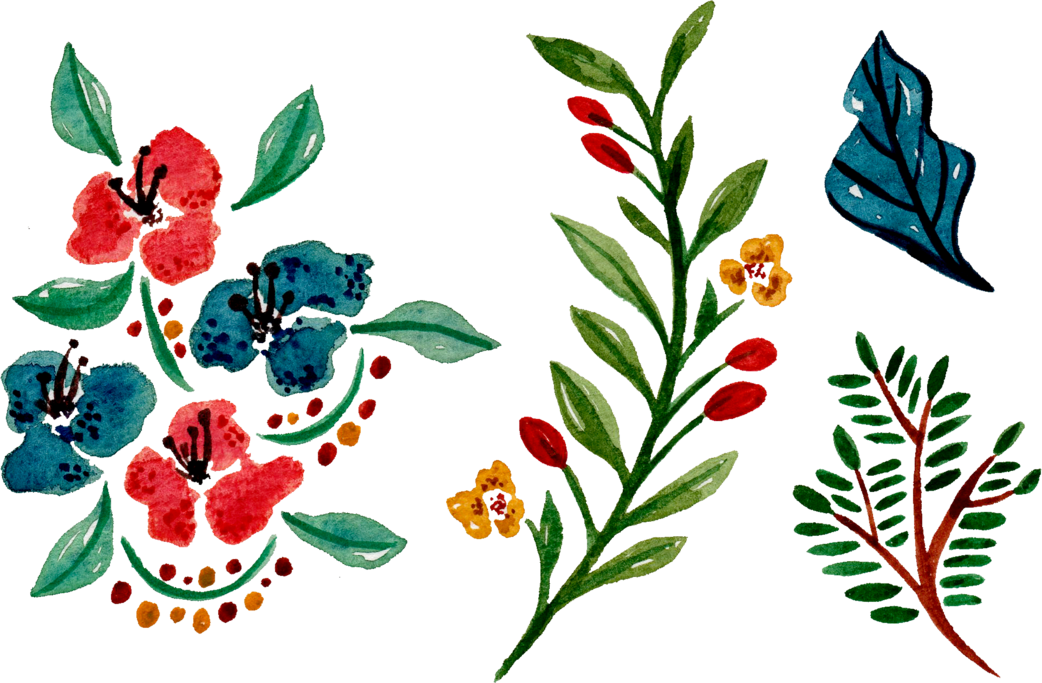 handgemaltes aquarellblumenelement für illustrationssatzsammlung png