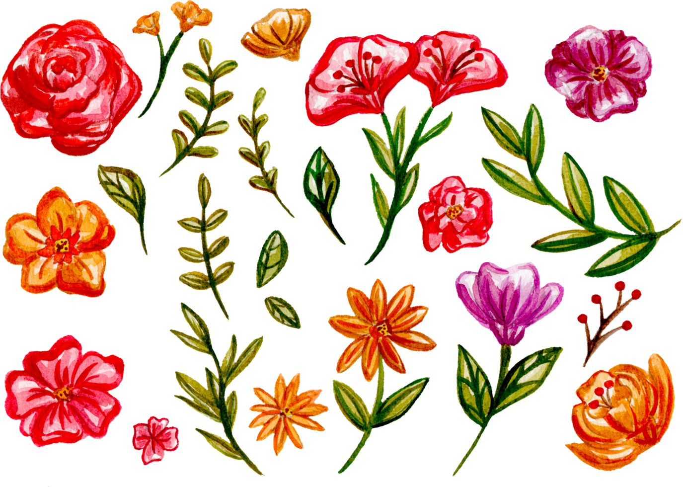 Hand painted watercolor flower element for illustration set collection png