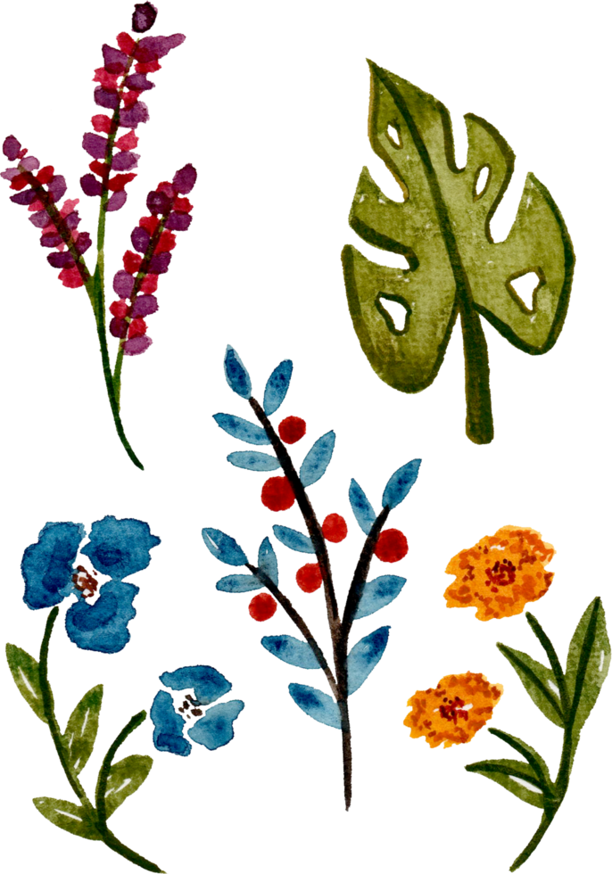 Hand painted watercolor flower element for illustration set collection png